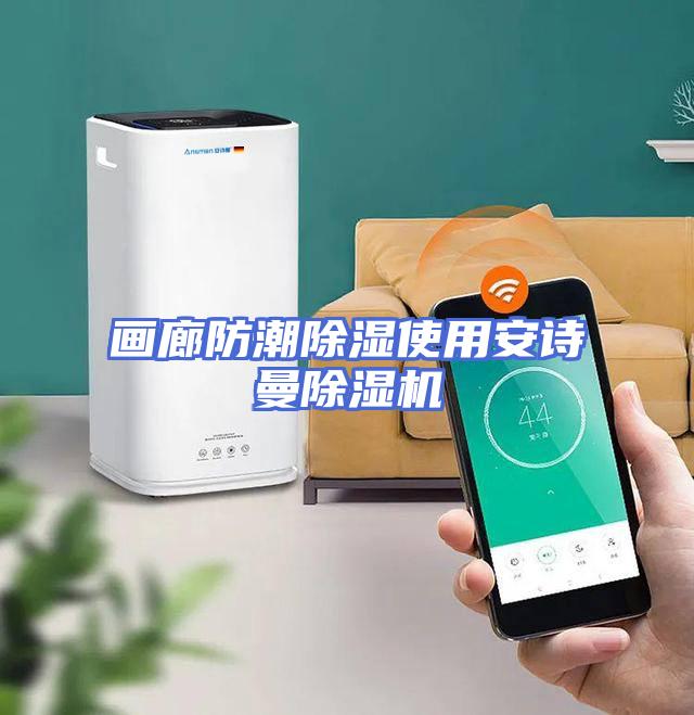 画廊防潮除湿使用安诗曼除湿机