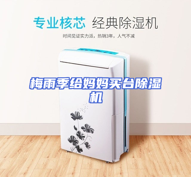 梅雨季给妈妈买台除湿机