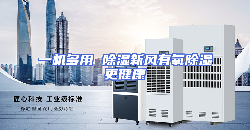 一机多用 除湿新风有氧除湿更健康