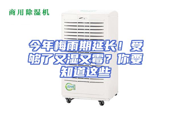 今年梅雨期延长！受够了又湿又霉？你要知道这些