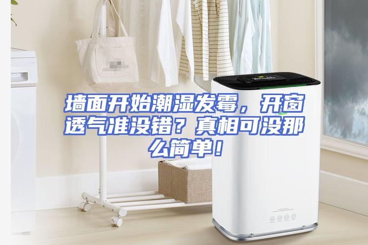 墙面开始潮湿发霉，开窗透气准没错？真相可没那么简单！