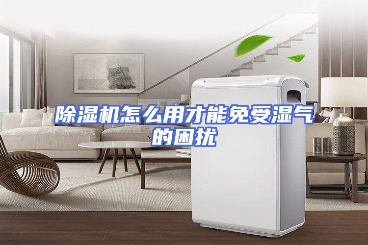 除湿机怎么用才能免受湿气的困扰