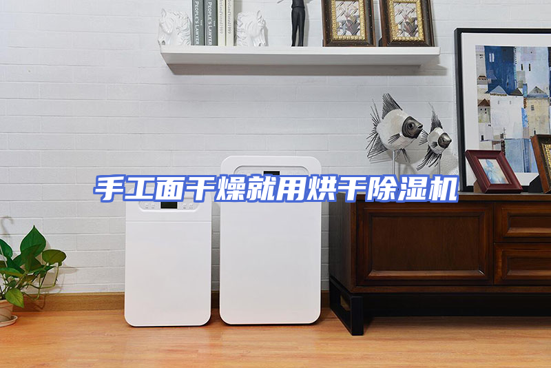 手工面干燥就用烘干除湿机