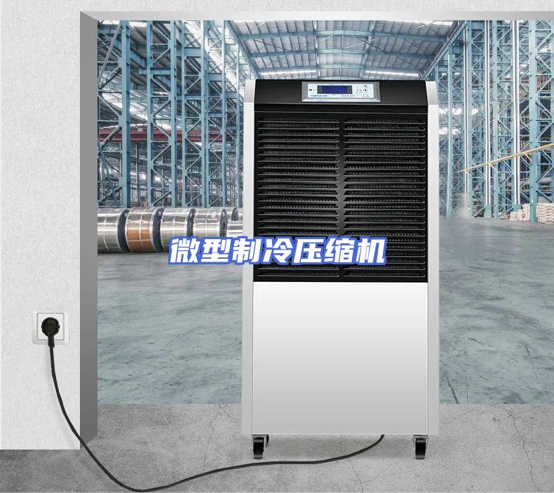 微型制冷压缩机