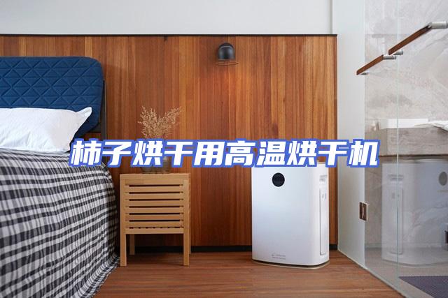 柿子烘干用高温烘干机