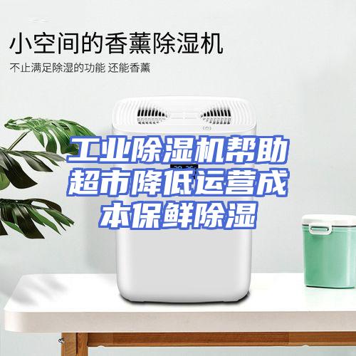 工业除湿机帮助超市降低运营成本保鲜除湿