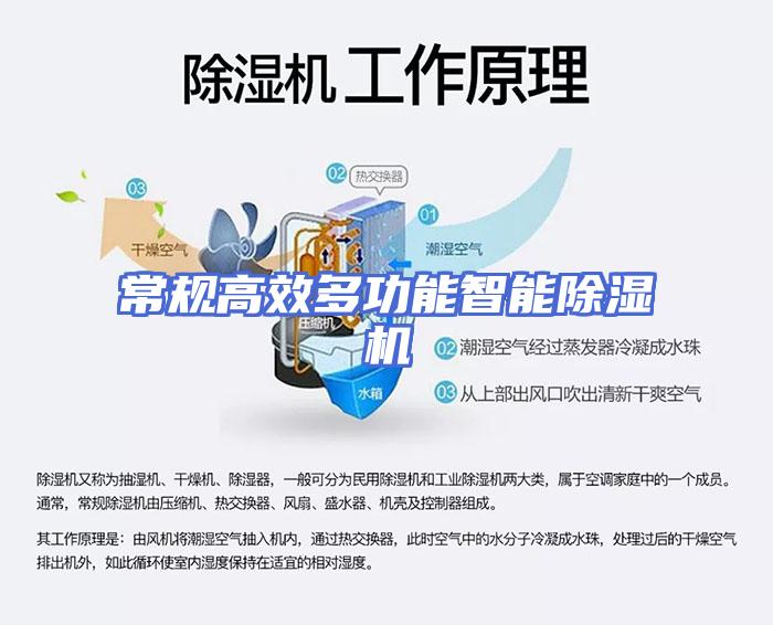 常规高效多功能智能除湿机