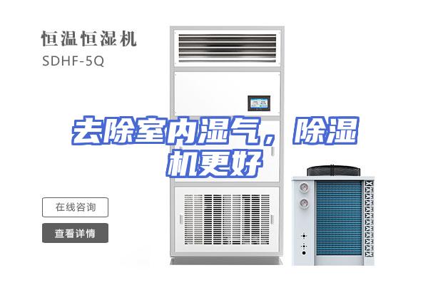 去除室内湿气，除湿机更好
