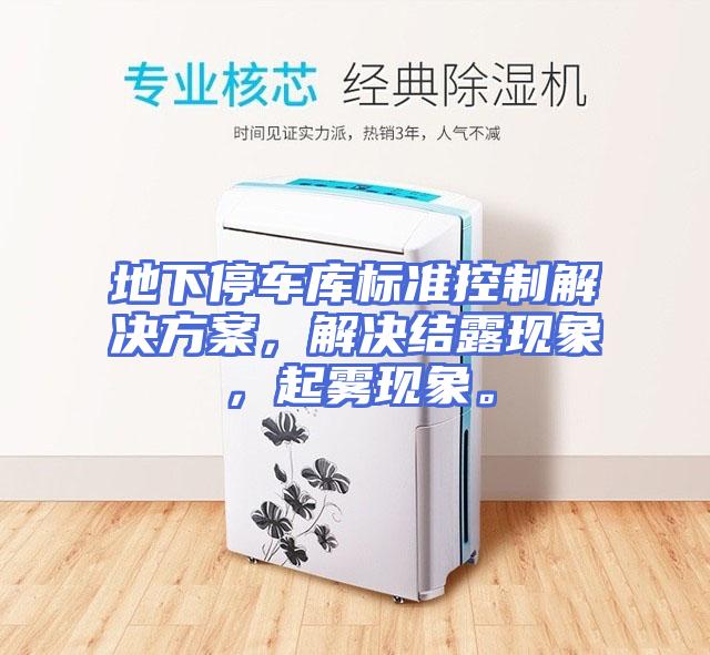 地下停车库标准控制解决方案，解决结露现象，起雾现象。