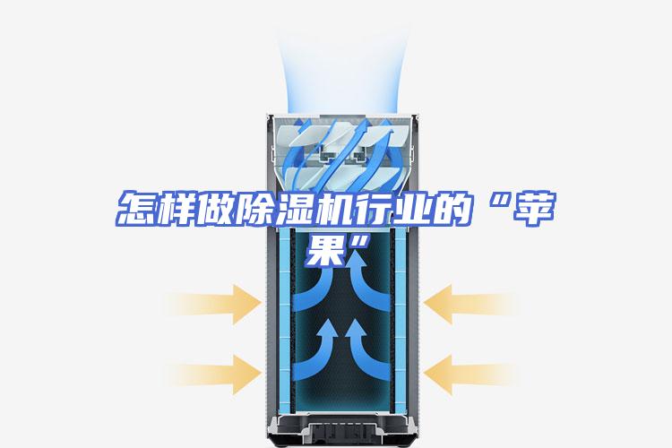 怎样做除湿机行业的“苹果”