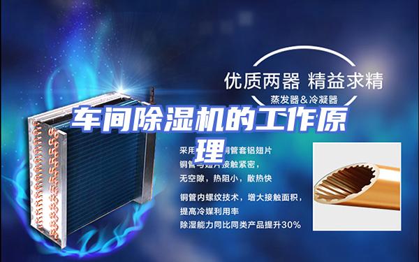车间除湿机的工作原理