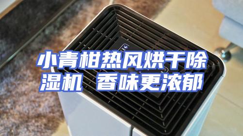 小青柑热风烘干除湿机 香味更浓郁
