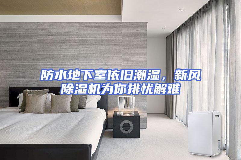 防水地下室依旧潮湿，新风除湿机为你排忧解难
