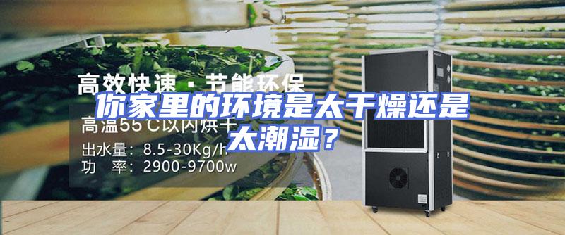 你家里的环境是太干燥还是太潮湿？