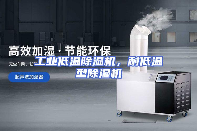 工业低温除湿机，耐低温型除湿机
