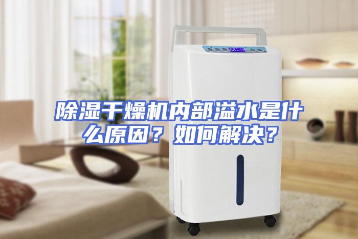 除湿干燥机内部溢水是什么原因？如何解决？