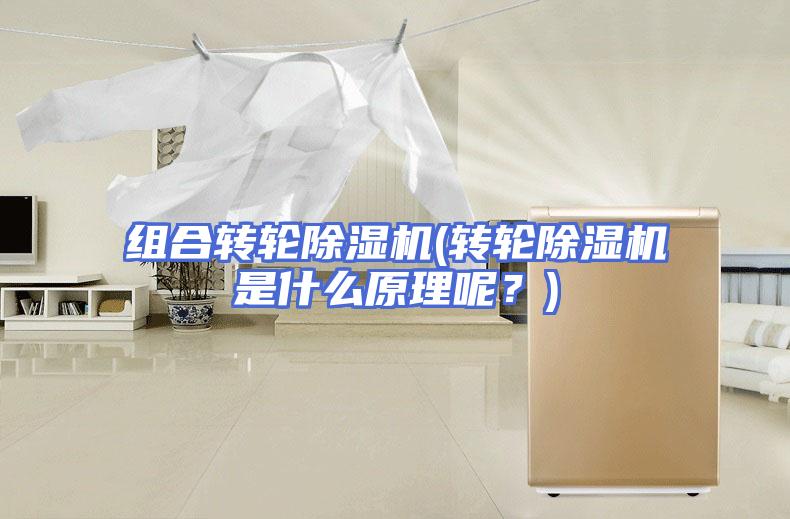 组合转轮除湿机(转轮除湿机是什么原理呢？)