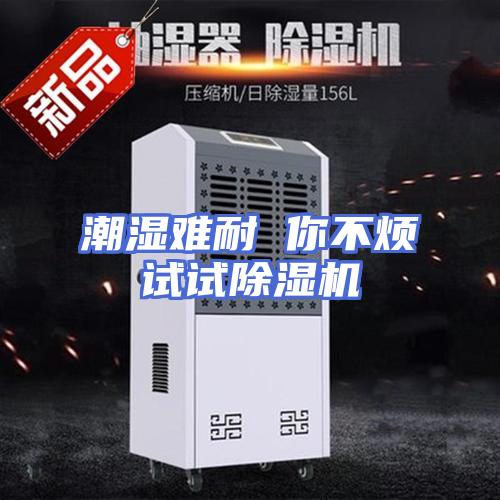 潮湿难耐 你不烦试试除湿机