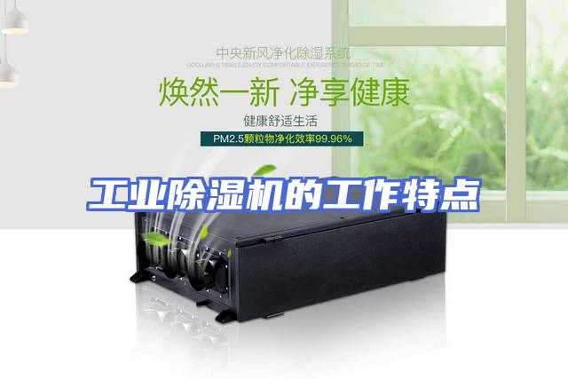 工业除湿机的工作特点