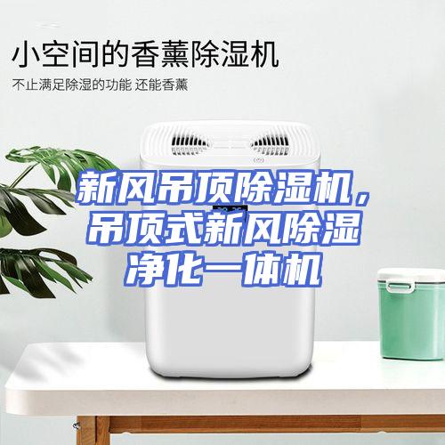 新风吊顶除湿机，吊顶式新风除湿净化一体机