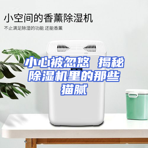 小心被忽悠 揭秘除湿机里的那些猫腻