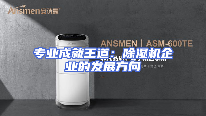 专业成就王道：除湿机企业的发展方向