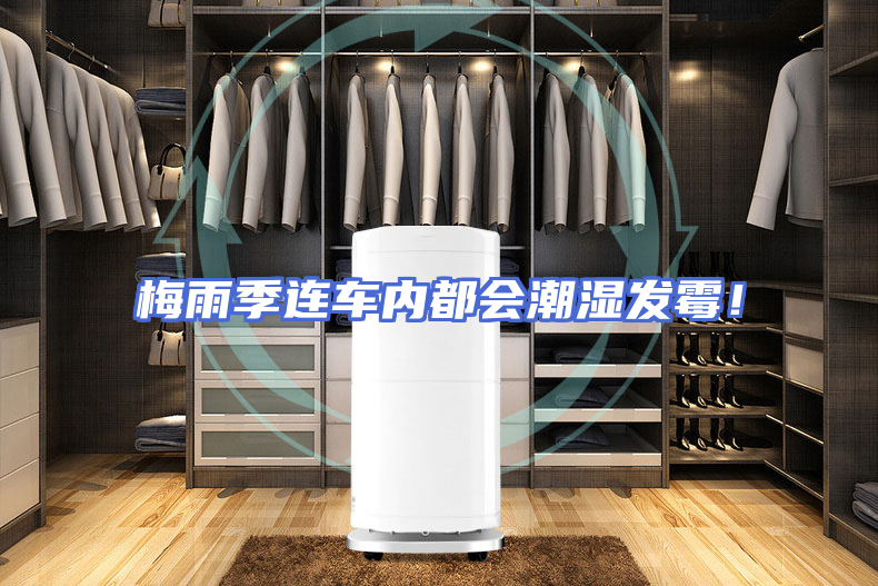 梅雨季连车内都会潮湿发霉！