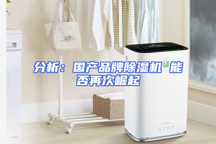分析：国产品牌除湿机 能否再次崛起
