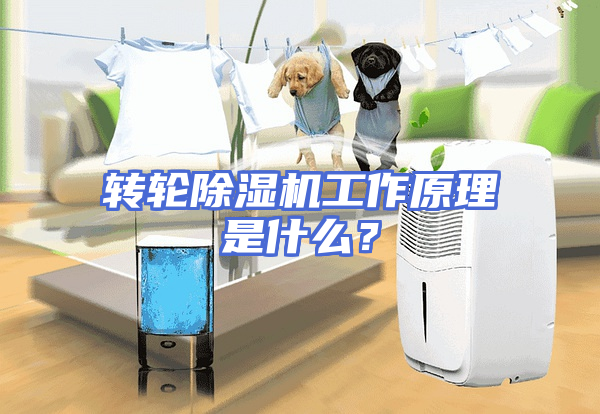 转轮除湿机工作原理是什么？