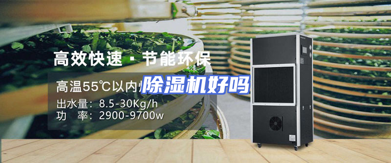 除湿机好吗