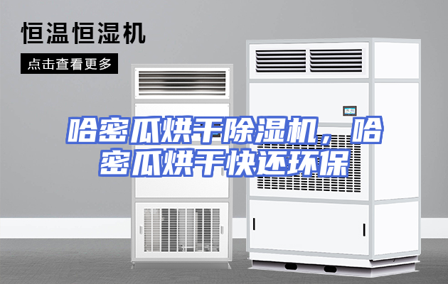 哈密瓜烘干除湿机，哈密瓜烘干快还环保