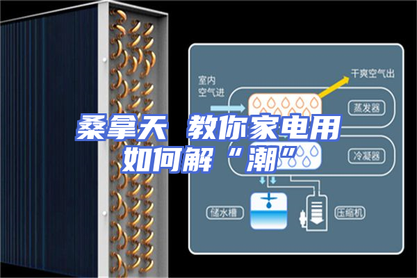 桑拿天 教你家电用如何解“潮”
