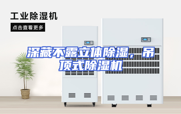 深藏不露立体除湿，吊顶式除湿机