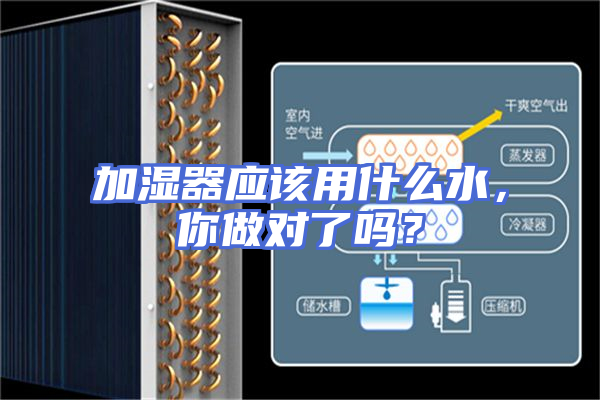 加湿器应该用什么水，你做对了吗？