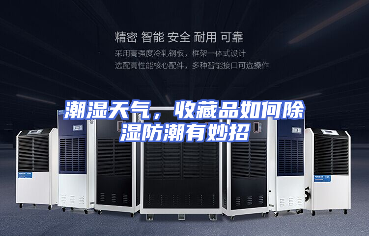 潮湿天气，收藏品如何除湿防潮有妙招