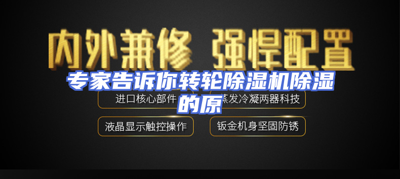 专家告诉你转轮除湿机除湿的原