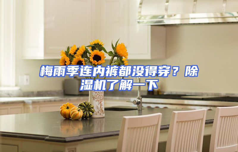 梅雨季连内裤都没得穿？除湿机了解一下