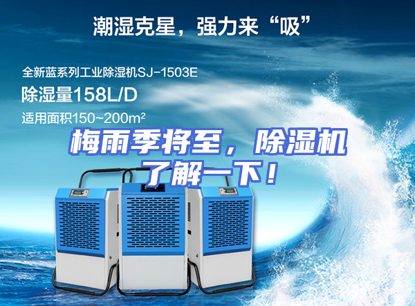 梅雨季将至，除湿机了解一下！