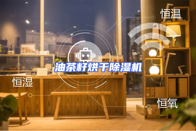 油茶籽烘干除湿机