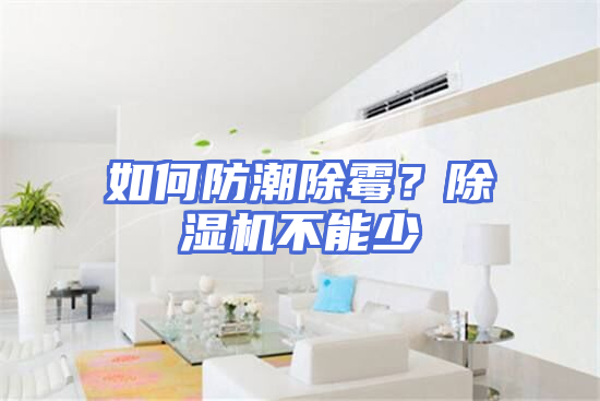 如何防潮除霉？除湿机不能少