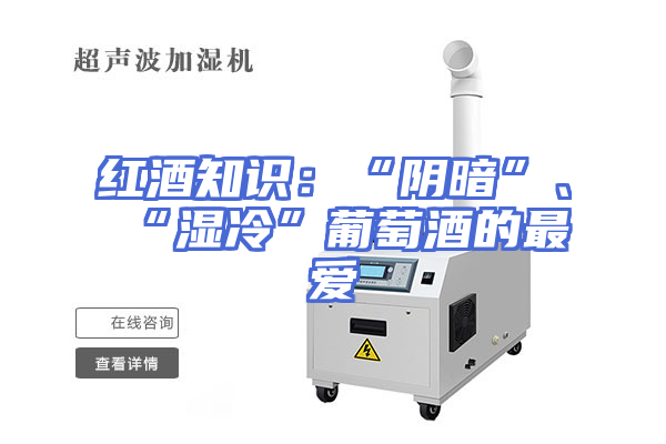 红酒知识：“阴暗”、“湿冷”葡萄酒的最爱