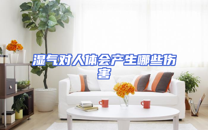 湿气对人体会产生哪些伤害