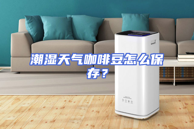 潮湿天气咖啡豆怎么保存？
