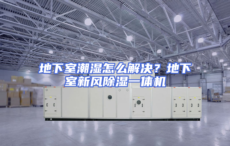 地下室潮湿怎么解决？地下室新风除湿一体机