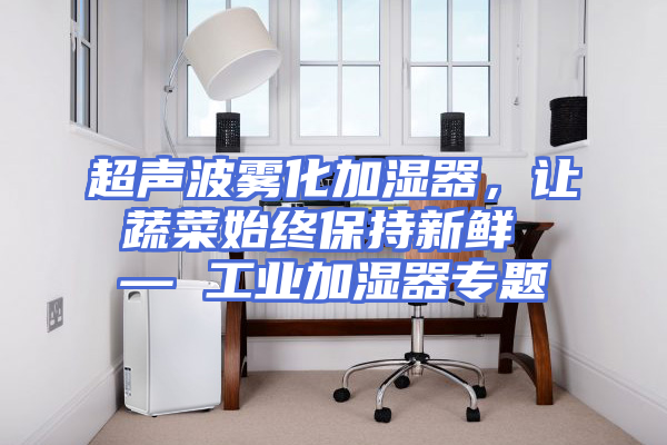超声波雾化加湿器，让蔬菜始终保持新鲜 — 工业加湿器专题