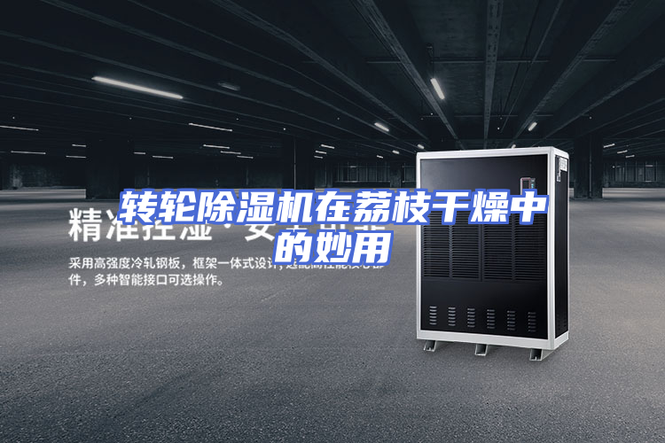 转轮除湿机在荔枝干燥中的妙用