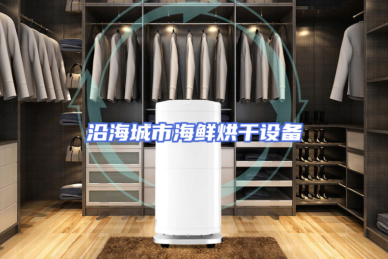 沿海城市海鲜烘干设备