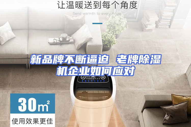 新品牌不断逼迫 老牌除湿机企业如何应对