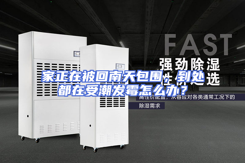 家正在被回南天包围，到处都在受潮发霉怎么办？
