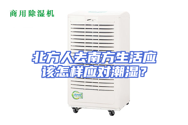 北方人去南方生活应该怎样应对潮湿？